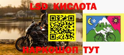 прущие грибы Комсомольск-на-Амуре