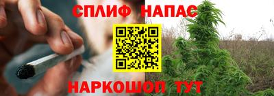 молекула духа Конаково