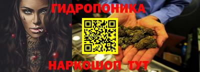 прущие грибы Комсомольск-на-Амуре