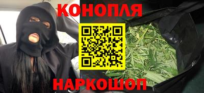 прущие грибы Комсомольск-на-Амуре