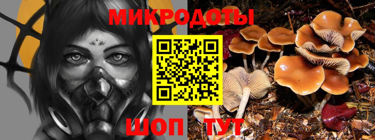 Касимов  Псилоцибиновые грибы GOLDEN TEACHER  даркнет сайт  Вход с VPN 